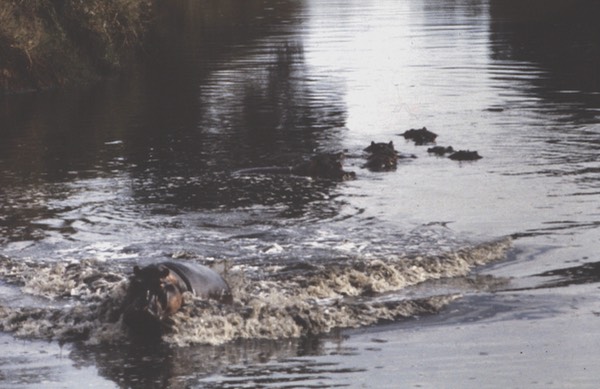 Image0047
